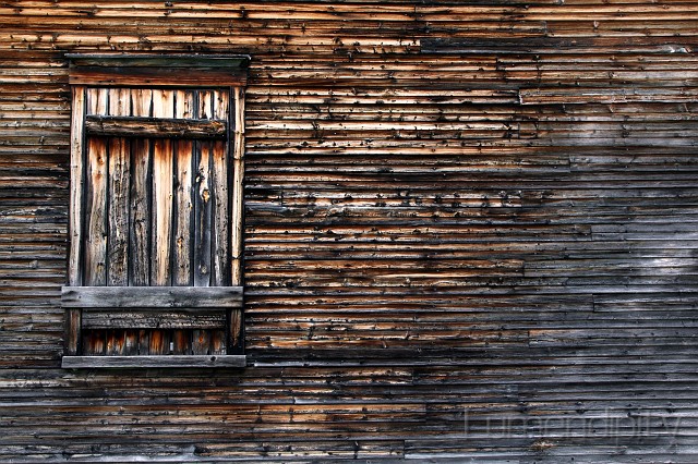 Abandoned 3.jpg